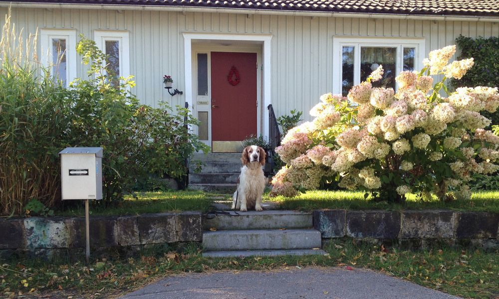 Tant Groen B&B Falun Ngoại thất bức ảnh